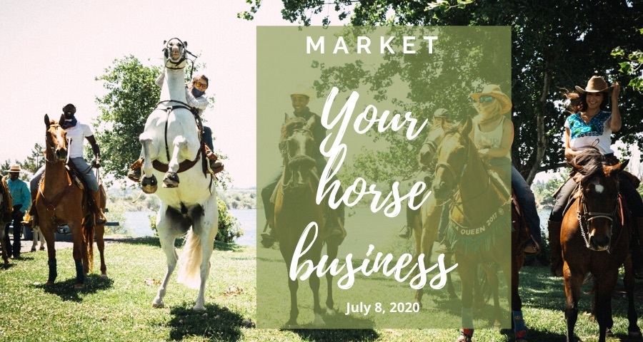 How to Market Your Horse Business Online